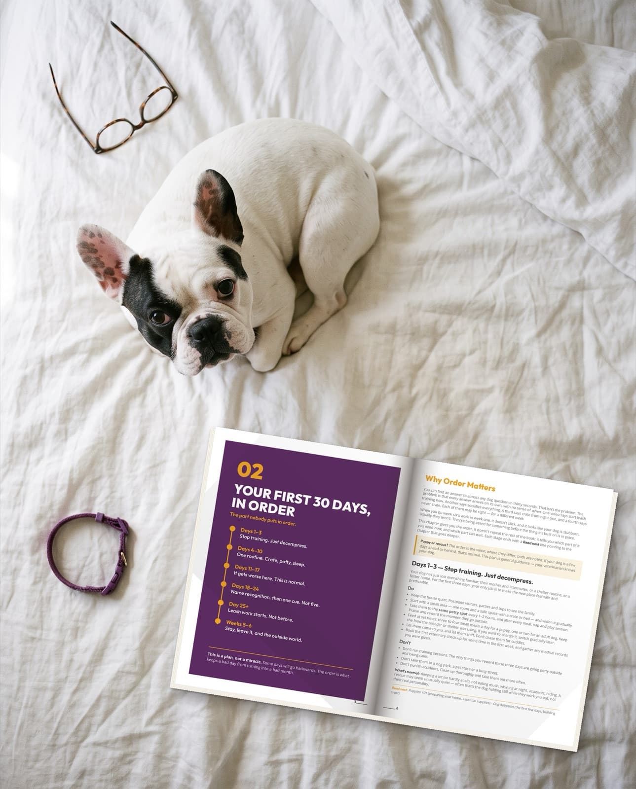 The book open at Chapter 2 on a duvet, a French Bulldog lying nearby