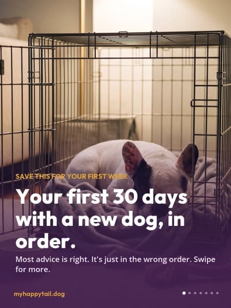 Post: the first 30 days with a new dog in five stages
