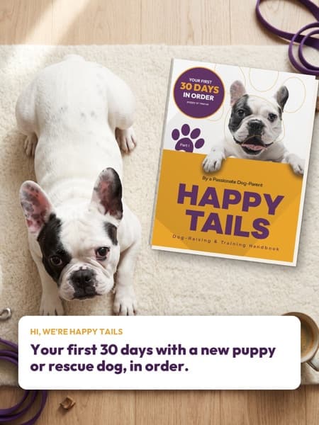 A French Bulldog lying next to the Happy Tails book