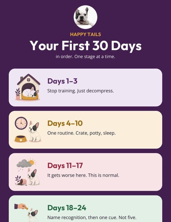 Preview of the 30-day calendar